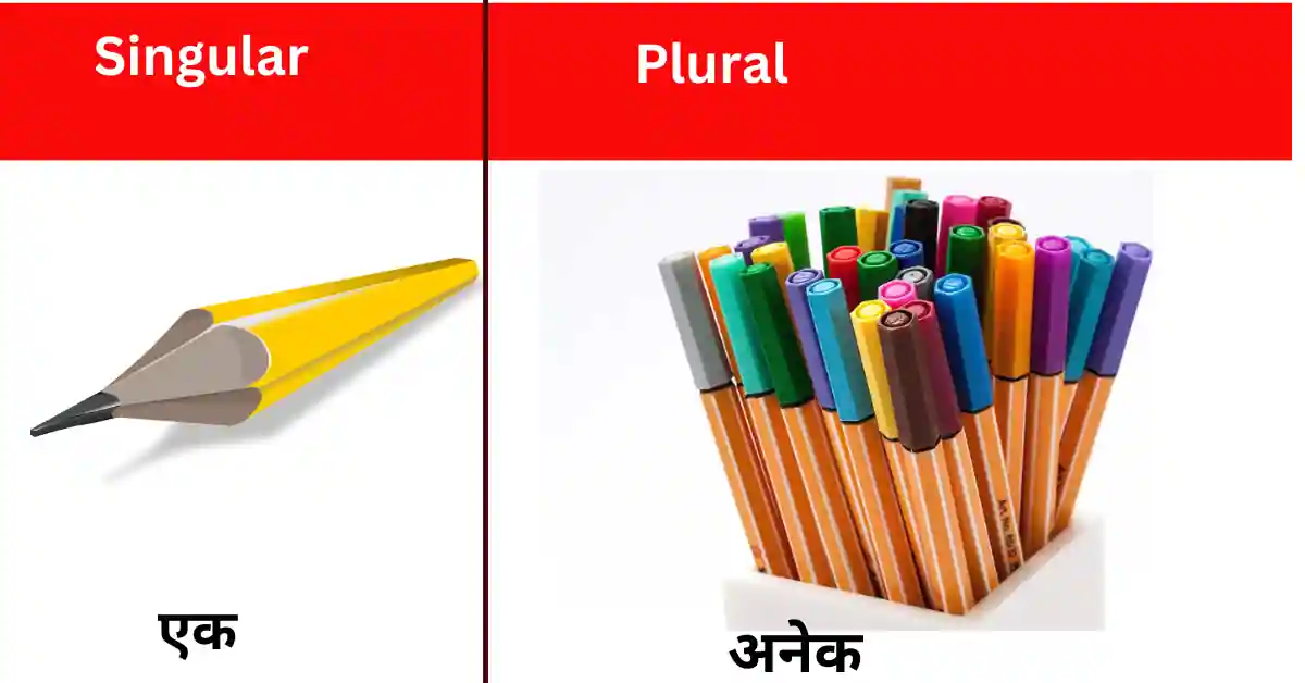 Singular और Plural की पहचान कैसे करें?